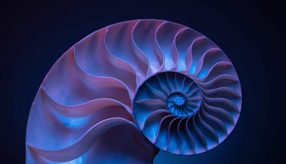 Jean Adrienne Arınma Sistemi (JASS) Nedir?